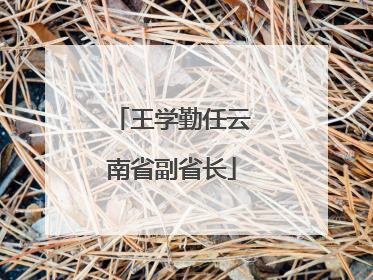 王学勤任云南省副省长
