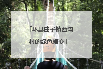 环县曲子镇西沟村的绿色蝶变
