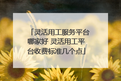 灵活用工服务平台哪家好 灵活用工平台收费标准几个点