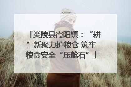 炎陵县霞阳镇：“耕”新聚力护粮仓 筑牢粮食安全“压舱石”