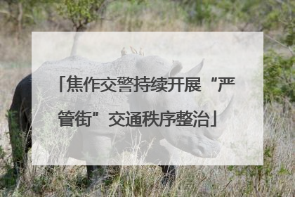 焦作交警持续开展“严管街”交通秩序整治