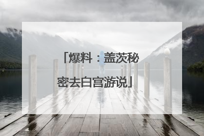 爆料：盖茨秘密去白宫游说