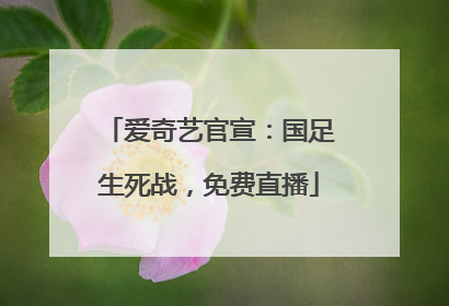 爱奇艺官宣：国足生死战，免费直播
