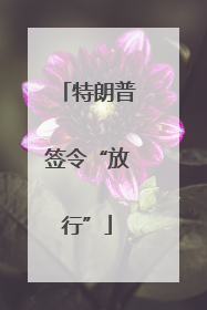 特朗普签令“放行”