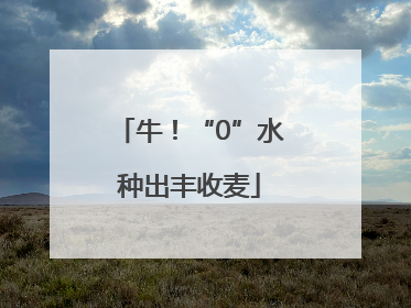 牛！“0”水种出丰收麦