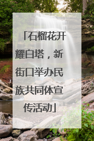 石榴花开耀白塔，新街口举办民族共同体宣传活动