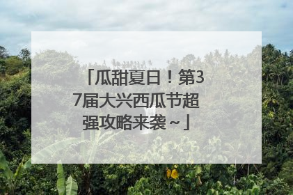 瓜甜夏日！第37届大兴西瓜节超强攻略来袭～