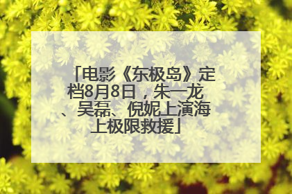 电影《东极岛》定档8月8日，朱一龙、吴磊、倪妮上演海上极限救援