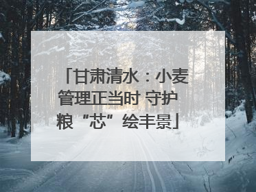 甘肃清水：小麦管理正当时 守护粮“芯”绘丰景