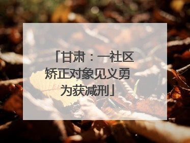 甘肃：一社区矫正对象见义勇为获减刑