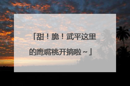 甜！脆！武平这里的鹰嘴桃开摘啦～