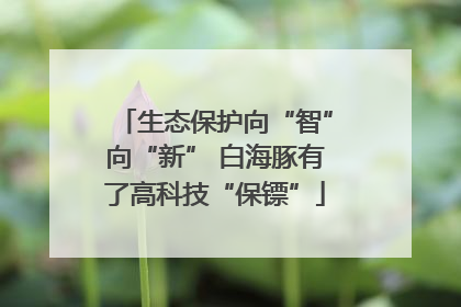 生态保护向“智”向“新” 白海豚有了高科技“保镖”