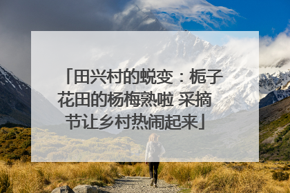 田兴村的蜕变：栀子花田的杨梅熟啦 采摘节让乡村热闹起来