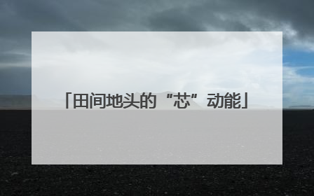 田间地头的“芯”动能