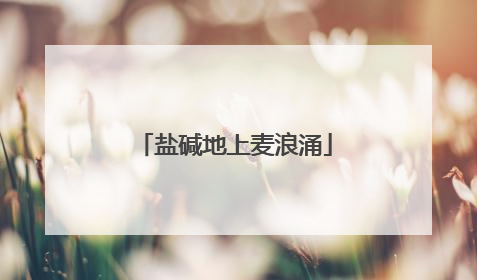 盐碱地上麦浪涌