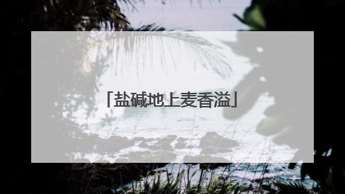 盐碱地上麦香溢