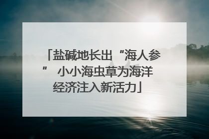 盐碱地长出“海人参” 小小海虫草为海洋经济注入新活力