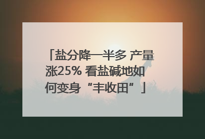 盐分降一半多 产量涨25% 看盐碱地如何变身“丰收田”