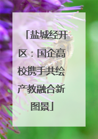 盐城经开区：国企高校携手共绘产教融合新图景
