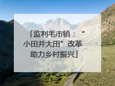 监利毛市镇：“小田并大田”改革 助力乡村振兴