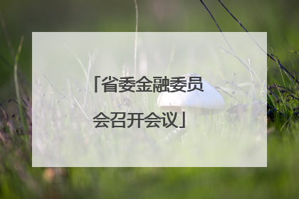 省委金融委员会召开会议