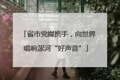 省市党媒携手，向世界唱响漯河“好声音”