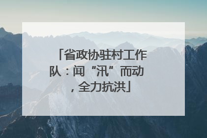 省政协驻村工作队：闻“汛”而动，全力抗洪