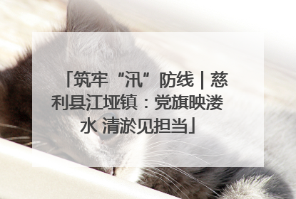 筑牢“汛”防线｜慈利县江垭镇：党旗映溇水 清淤见担当