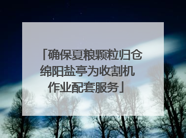 确保夏粮颗粒归仓 绵阳盐亭为收割机作业配套服务
