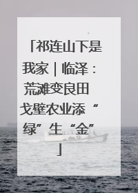 祁连山下是我家｜临泽：荒滩变良田 戈壁农业添“绿”生“金”
