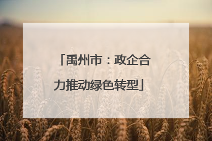 禹州市：政企合力推动绿色转型