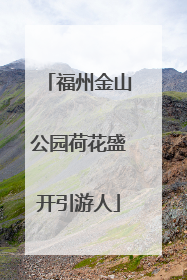 福州金山公园荷花盛开引游人