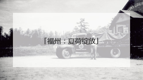 福州：夏荷绽放