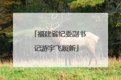 福建省纪委副书记游宇飞履新