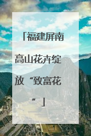 福建屏南高山花卉绽放“致富花”
