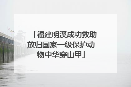 福建明溪成功救助放归国家一级保护动物中华穿山甲