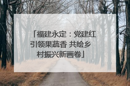 福建永定：党建红引领果蔬香 共绘乡村振兴新画卷