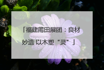 福建莆田展团：良材妙造 以木塑“灵”