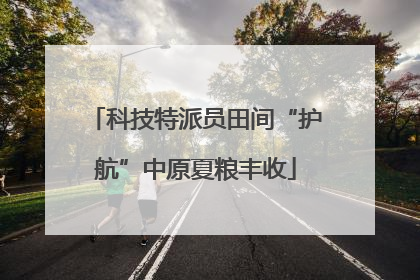 科技特派员田间“护航”中原夏粮丰收