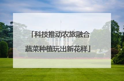科技推动农旅融合 蔬菜种植玩出新花样