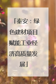 秦安：绿色建材项目赋能工业经济高质量发展