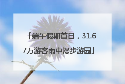 端午假期首日，31.67万游客雨中漫步游园