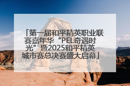 第一届和平精英职业联赛嘉年华“PEL奇遇时光”暨2025和平精英城市赛总决赛盛大启幕