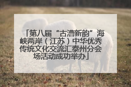 第八届“古漕新韵”海峡两岸（江苏）中华优秀传统文化交流汇泰州分会场活动成功举办