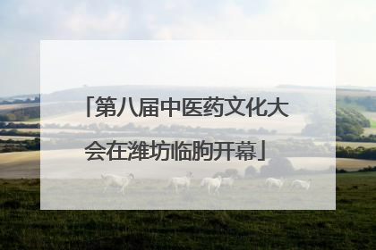 第八届中医药文化大会在潍坊临朐开幕