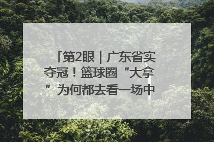 第2眼｜广东省实夺冠！篮球圈“大拿”为何都去看一场中学生比赛？