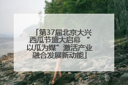 第37届北京大兴西瓜节盛大启幕 “以瓜为媒”激活产业融合发展新动能