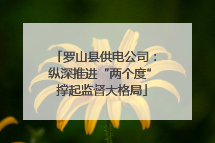 罗山县供电公司：纵深推进“两个度” 撑起监督大格局