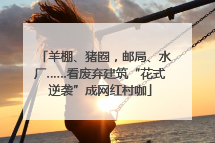 羊棚、猪圈，邮局、水厂……看废弃建筑“花式逆袭”成网红村咖