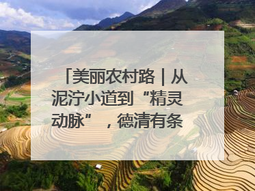 美丽农村路｜从泥泞小道到“精灵动脉”，德清有条“虾路”火了